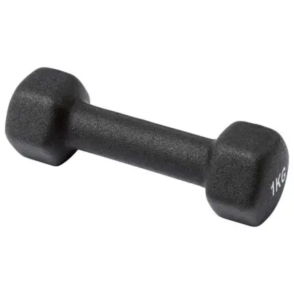 DUMBBELL SET 1 KG