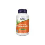 GINKGO BILOBA - NOW